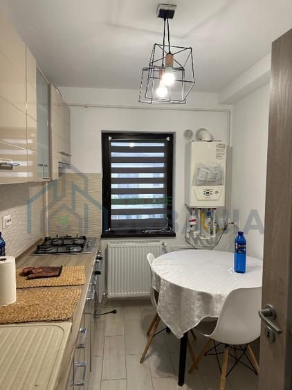 Ap 3 camere de inchiriat in Valea Lupului - Poză 10