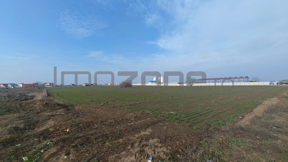 Dragomiresti Valea - Langa Centura, teren 31.200 mp, 35E/mp - Poză 8