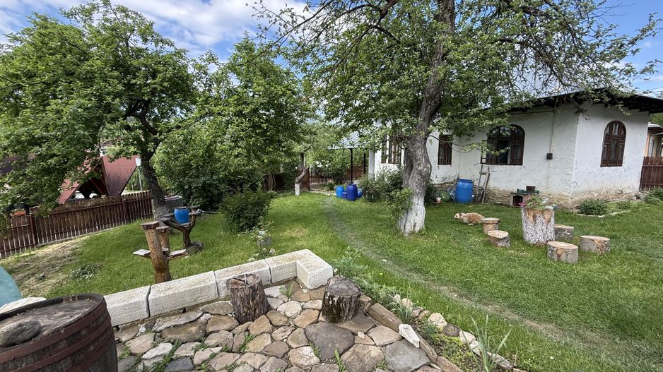 2 Case + teren 1390 mp langa parcul central Provita de Sus - Poză 36