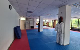 Cladire mixta - cu chiriasi- 1053 mp #plus-imo.ro - Poză 3