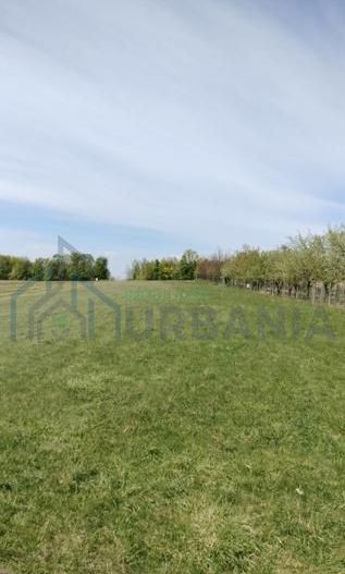 Teren extravilan 7.200 mp, Bordea - Grajduri, oportunitate investiție - Poză 11