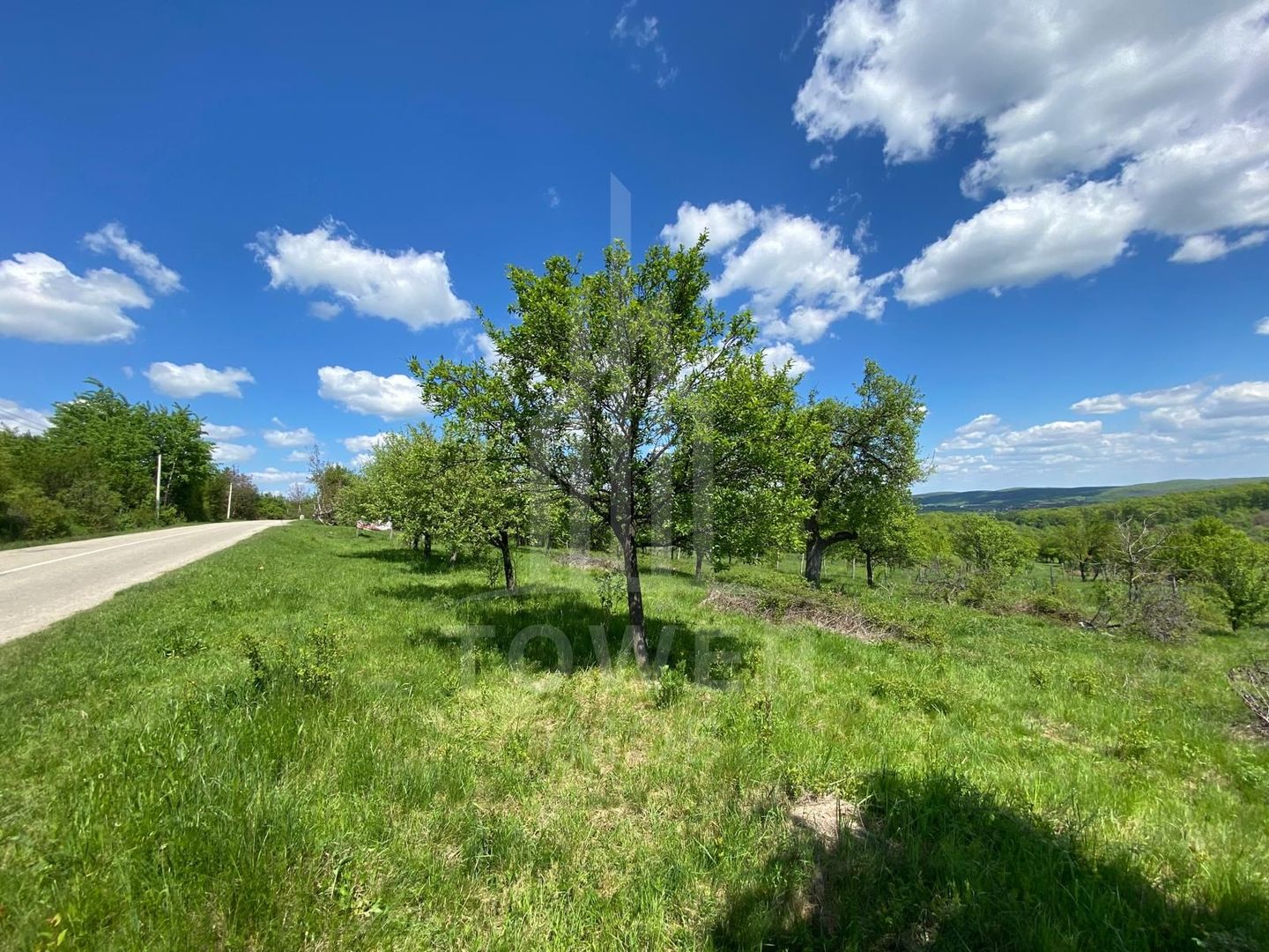 Teren intravilan 1200 mp – utilități la poartă, zonă exclusivistă Sibiel - Poză 5