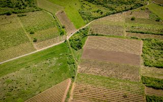 Teren extravilan - 3654 mp Dealul Șiriei - Poză 6