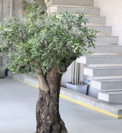 SMART HOME UNICAT I AUTOSUSTENABILA 0% UTILITATI I CORBEANCA - Poză 5