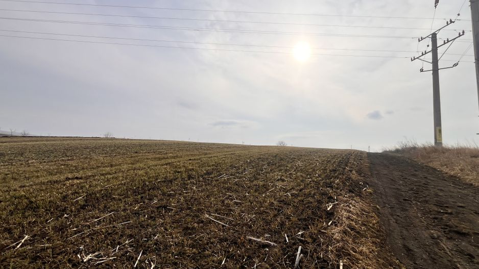 Teren Intravilan de Vânzare 33 Ari | Suceava/Ipotesti I 82.500 Euro - Poză 1