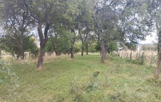 Teren intravilan 2500 mp-utilitati-ideal casa-Mijlocenii Bargaului