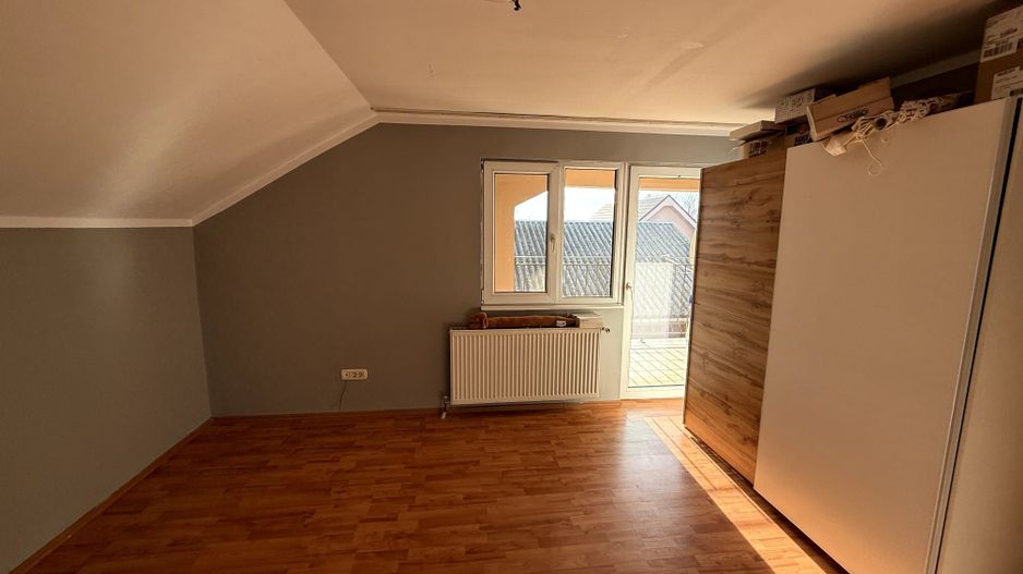 Proprietate impresionanta de vanzare cu mult teren in Santandrei - Poză 18