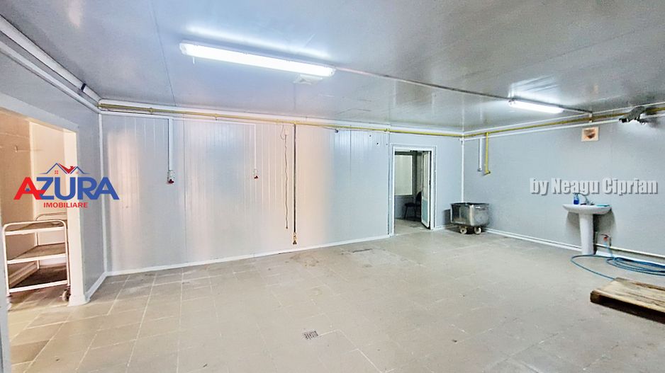 AZURA Imobiliare - Hala Fabrica de procesare Carne - Poză 30
