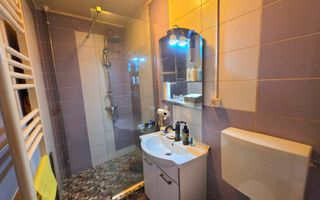 Apartament la mansarda Vasile Aaron - Poză 4