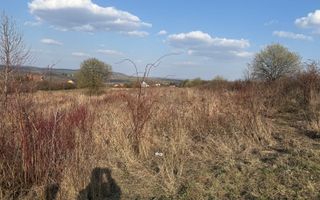 Teren intravilan cu toate utilitatile si drum amenajat Daia - Poză 3