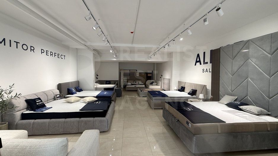Chirie, spațiu comercial 102 mp,  str. Ioana Radu, Buicani - Poză 8