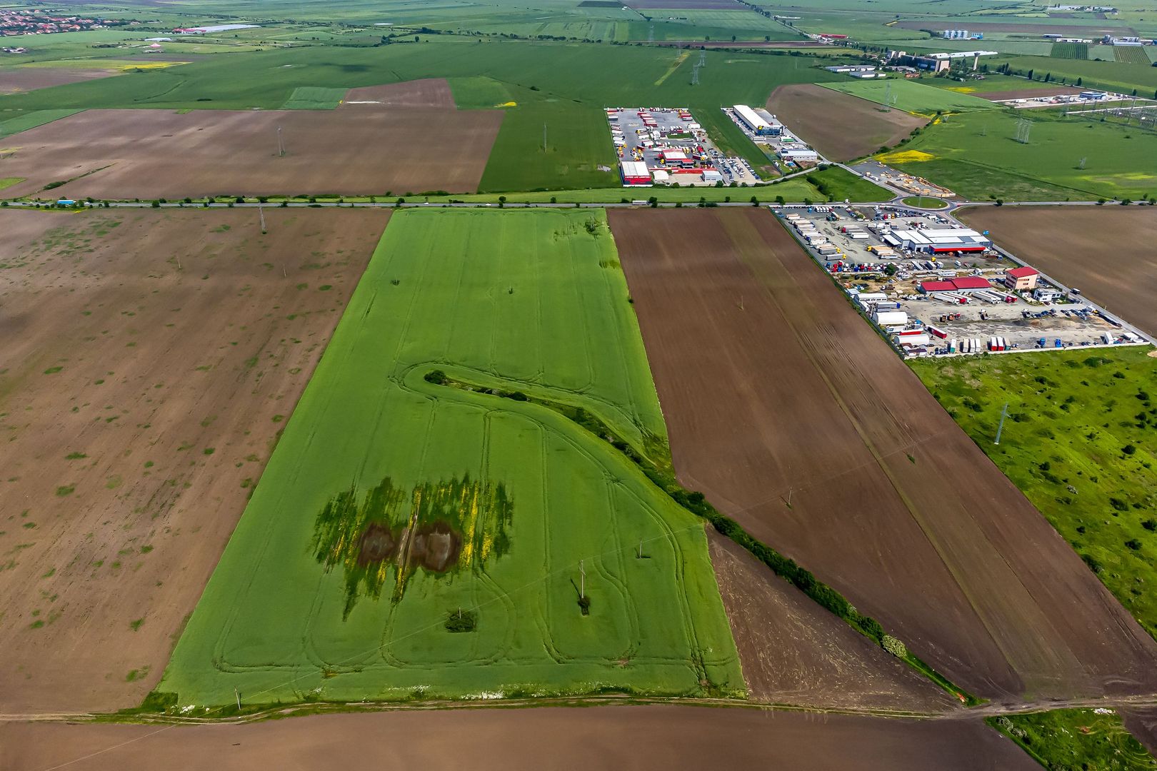 Teren intravilan cu PUZ aprobat la Centura Nord Arad – 10€/mp! - Poză 5