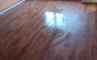 De inchiriat doua camere siderurgistilor vest, nemobilat, 200 euro - Poză 1