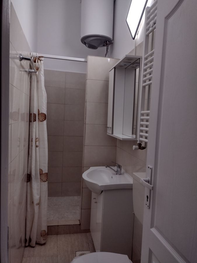 Stirbei Voda, Cismigiu, Conservator - Poză 6