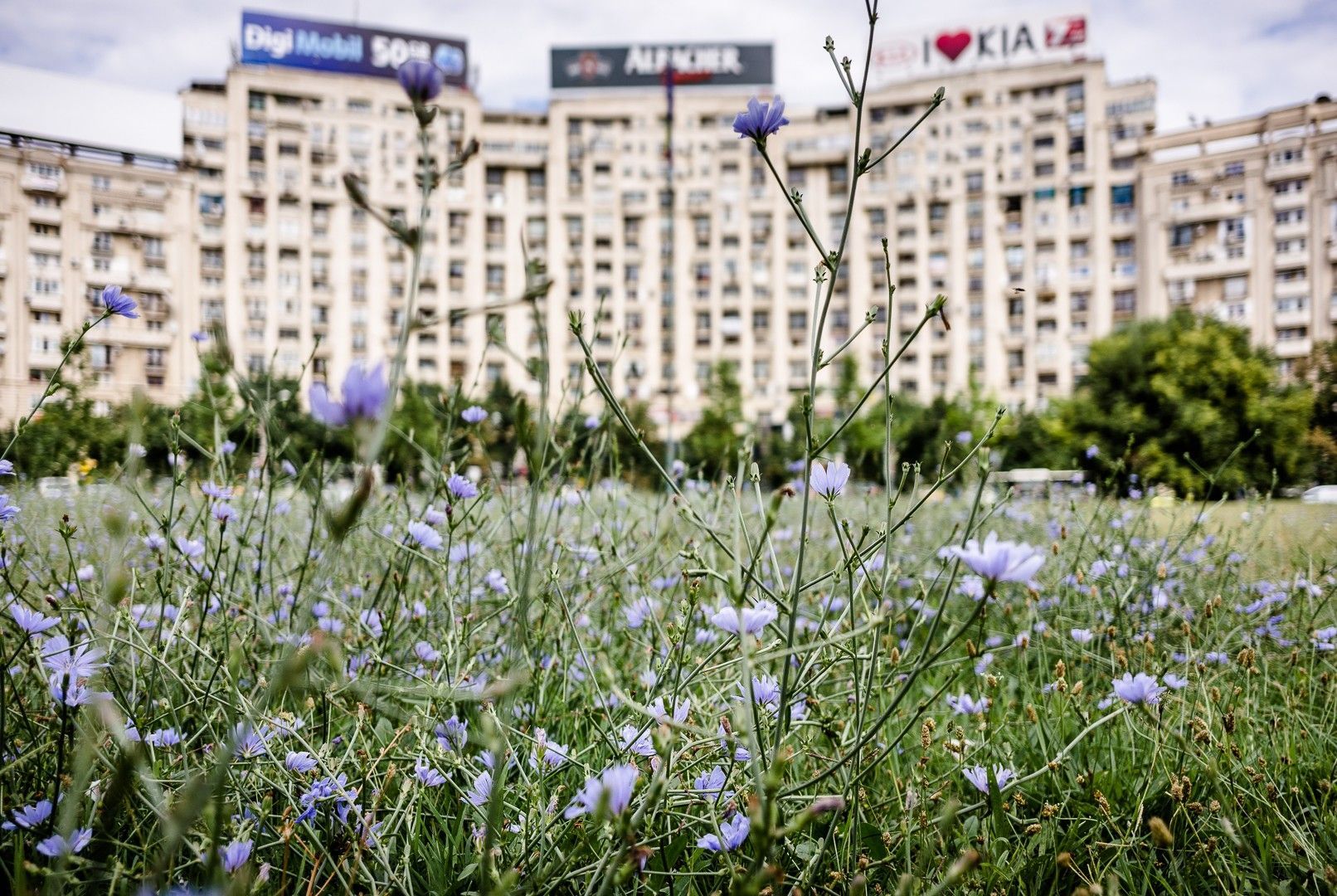 Penthouse 6 camere || 160Mp || P-ta Alba Iulia || Uniri || Decebal ||Teras 110Mp - Poză 19