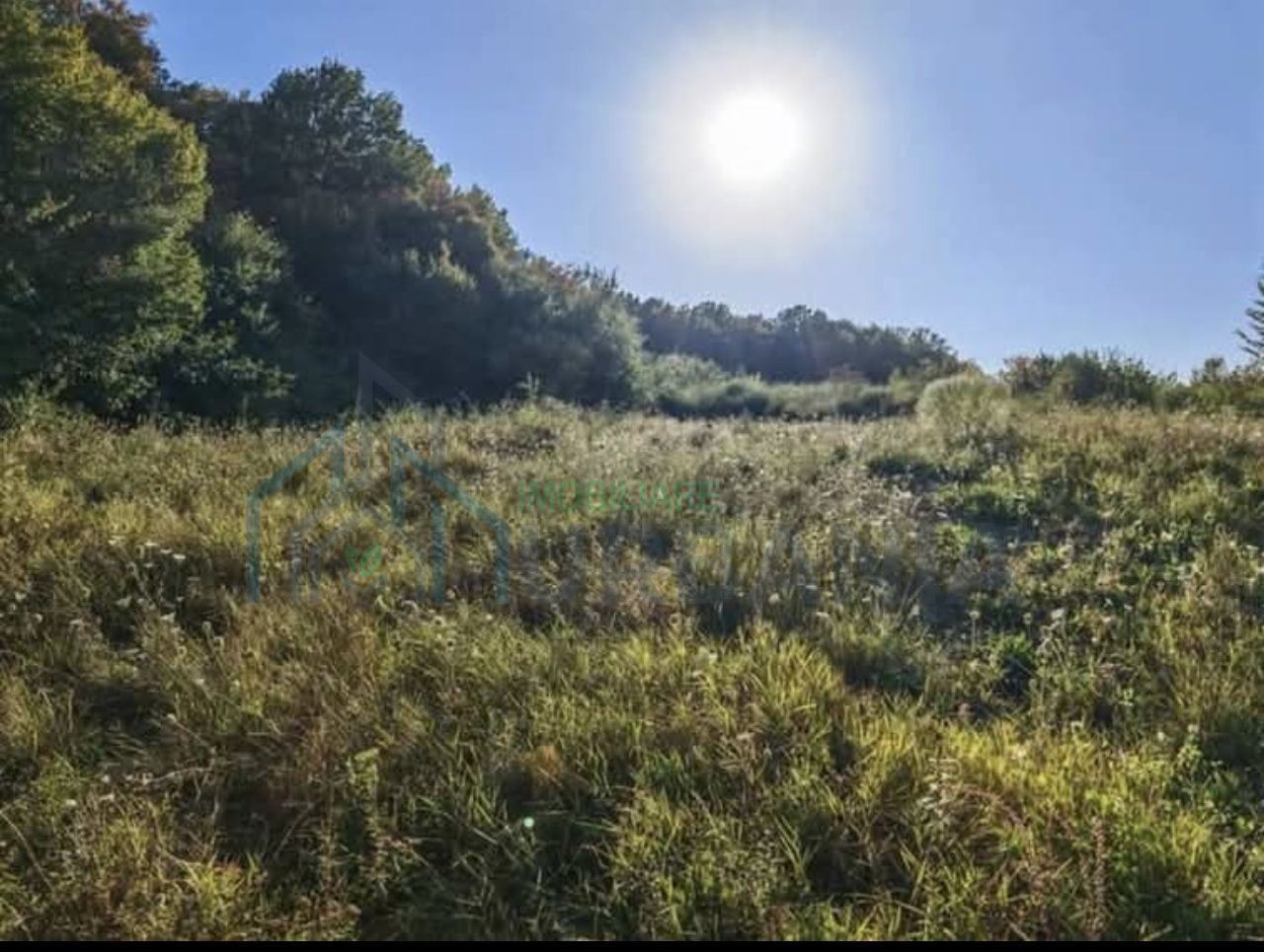 Teren de 6200 mp în intravilan, Barnova – ideal pentru pensiune turistică sau parcelare case de vacanță - Poză 1