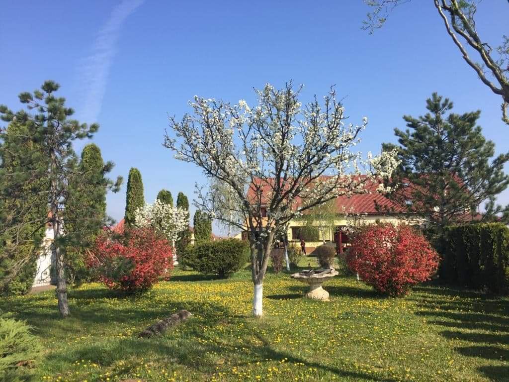 Vila individuala /proiect deosebit - Poză 13