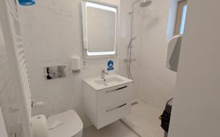 Inchiriere Vila noua Individuala Domenii / Mihalache - Poză 18