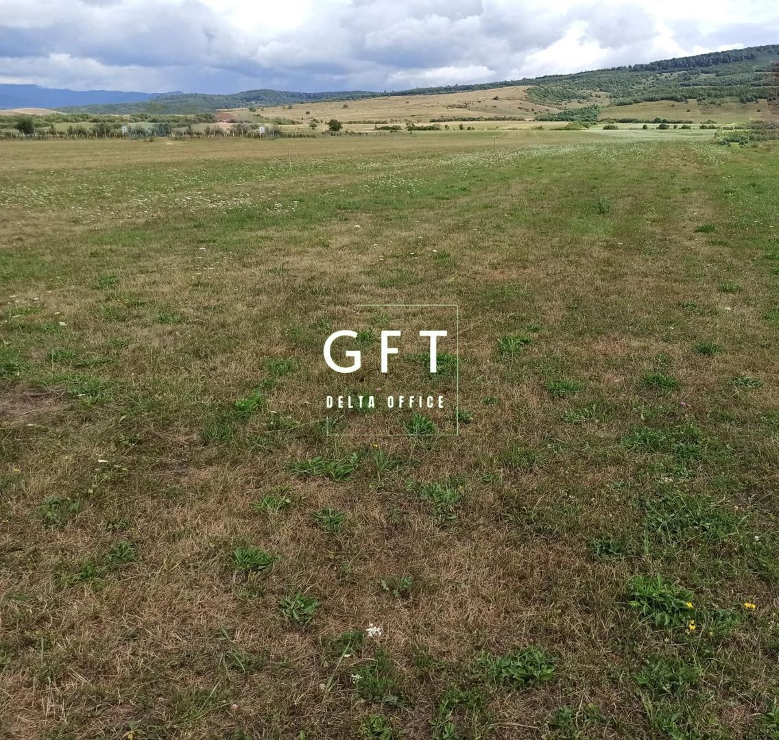 Teren intravilan 5217 mp cu utilitati-Parcelabil-ideal case-Livezile - Poză 2