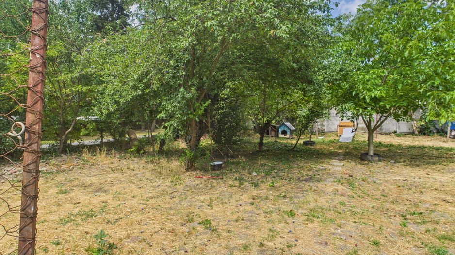 Locuință multifamilială sau investiție - 2 corpuri - Poză 4