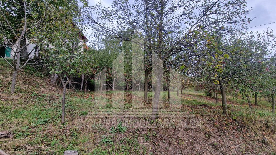 Casa cu livada in Cetea - Poză 22