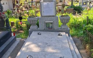 Vanzare Loc de Veci - Poză 1