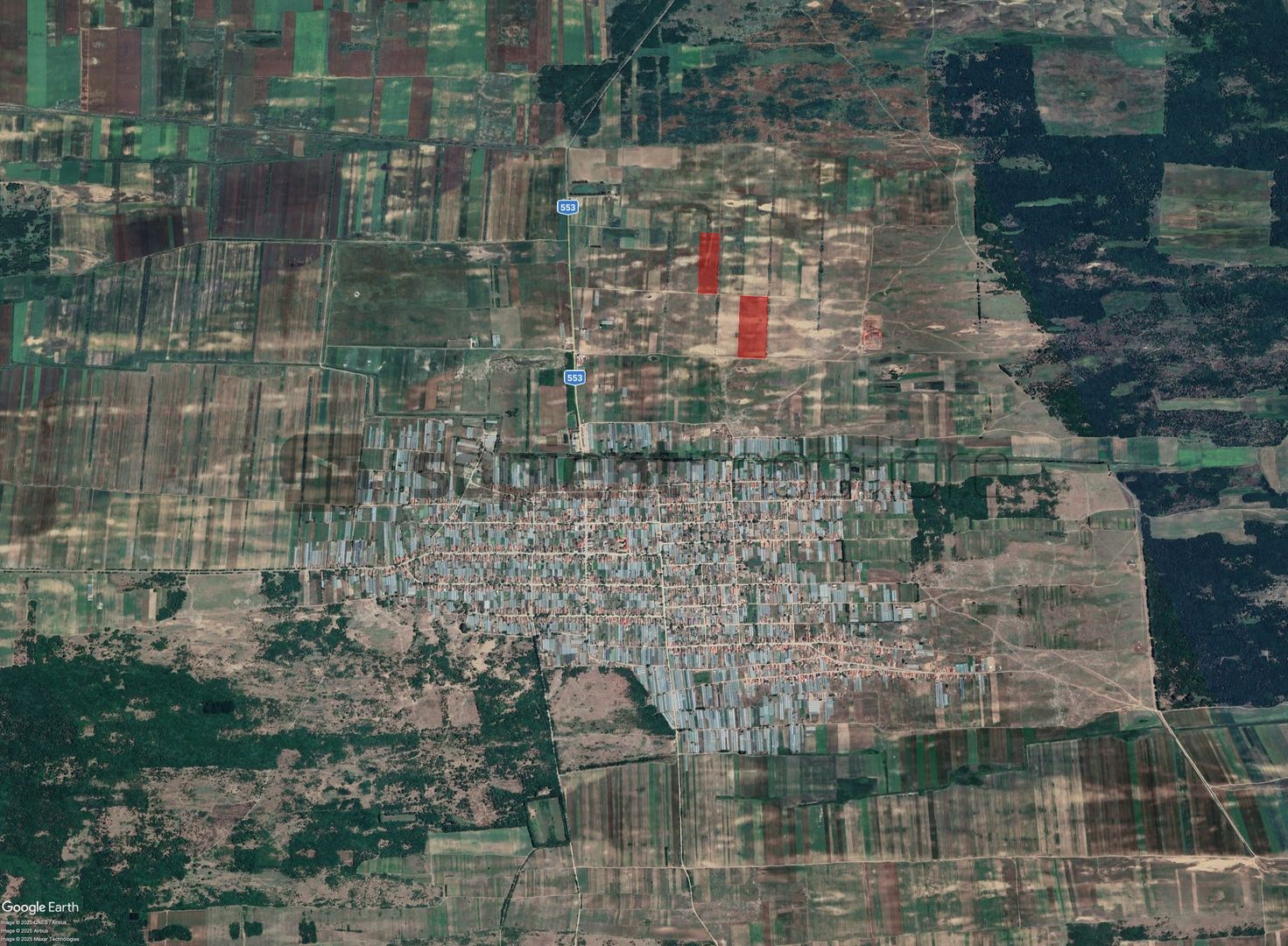 Sapient | Teren agricol _ loc. Desa, jud. Dolj - Poză 4