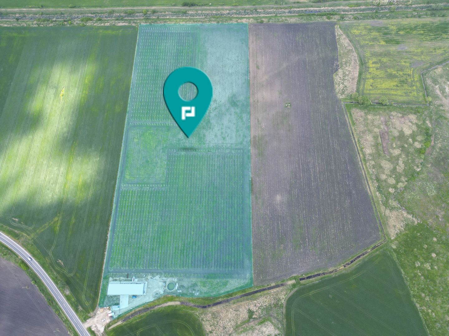 Oportunitate investiție: Livadă de Cireși și Hală - Poză 2