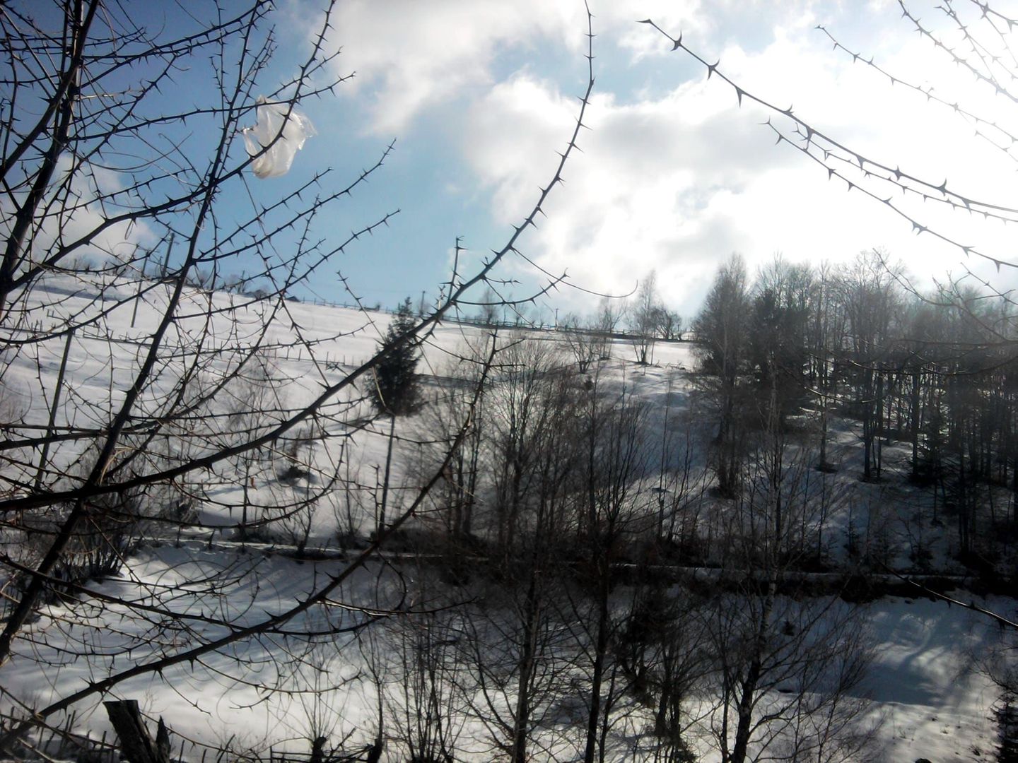 teren intravilan in zona Magura Bran - Poză 19