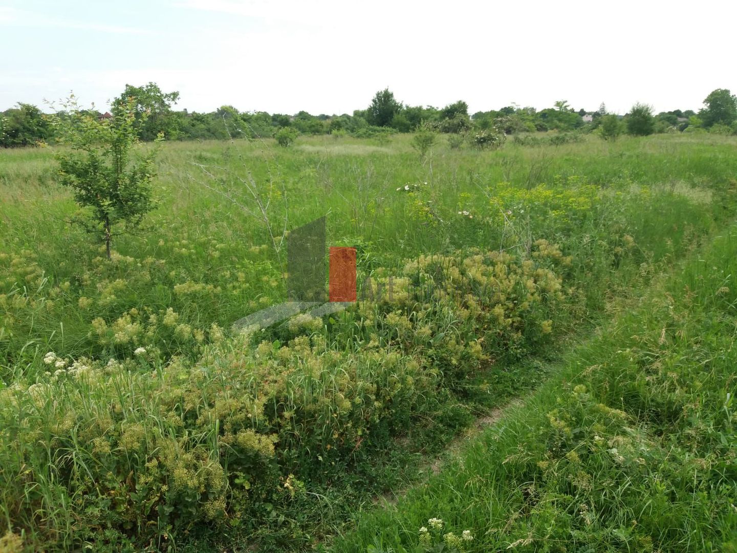 Teren cu iesire la lac - Poză 10