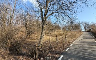 Teren intravilan 2788 mp deschidere 55 ml cu vedere panoramica ! - Poză 21
