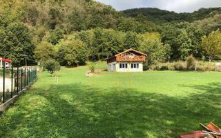 Casa de vacanta/pensiune cu teren de 3780mp | Clisura Dunarii - Poză 8