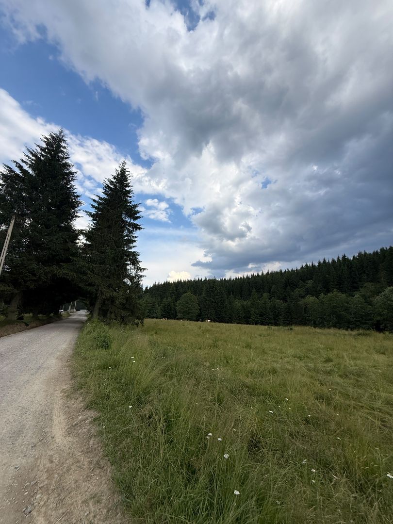 PARCELE DE VÂNZARE, pe malul râului BÂSCA, COMANDAU, COVASNA - Poză 3