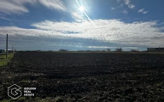 Oportunitate deosebita! Teren 4000 mp, intravilan, Sanpaul - Poză 2