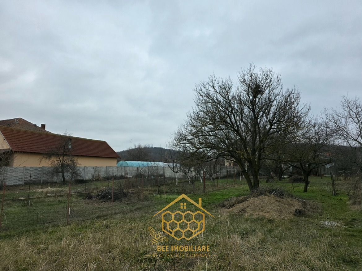 Teren 1.451 mp INTRAVILAN in Podari – Toate utilitatile - Poză 9