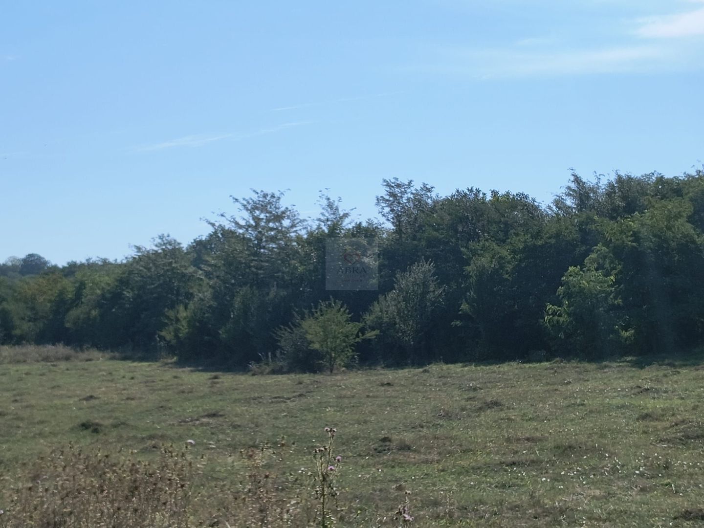 Teren intravilan investitie - Poză 2