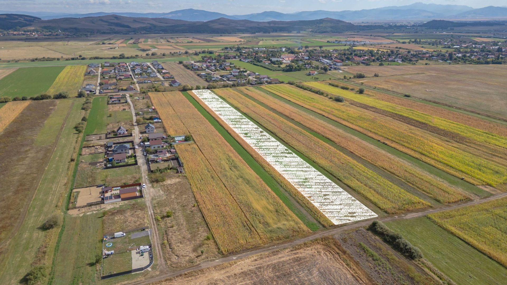 Teren Intravilan Bod | 15.000 mp | Zona Uranus - Constelației - Poză 5