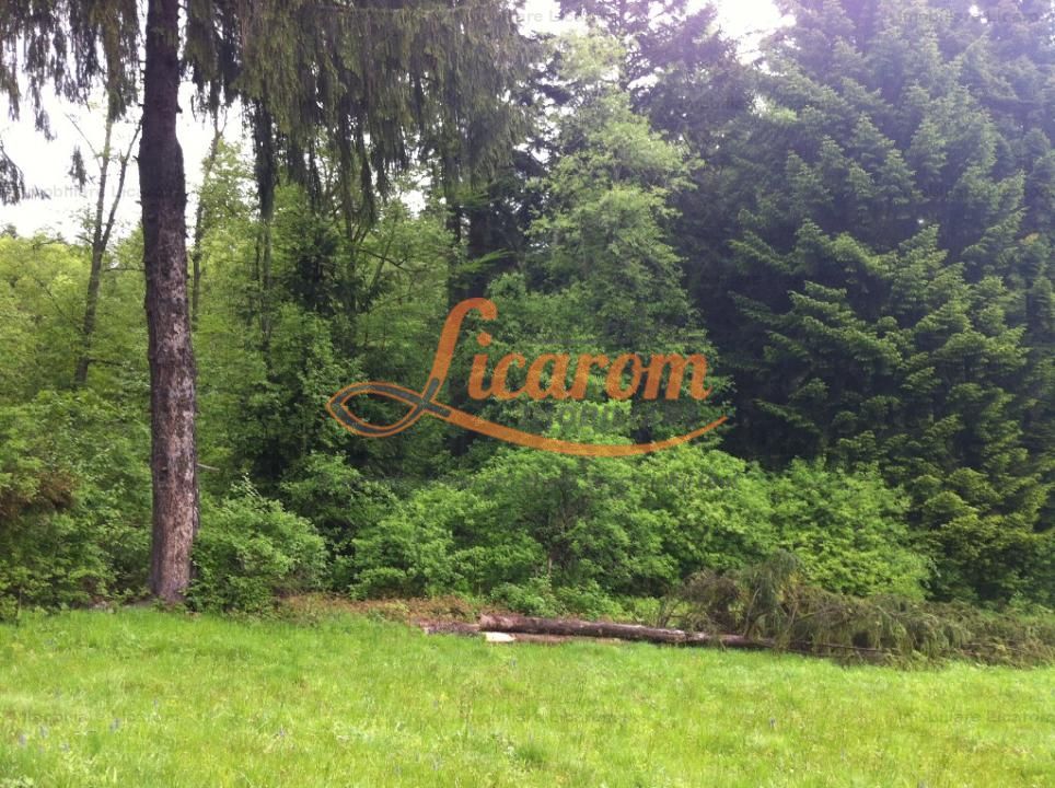 Teren intravilan Cotul Donului,pretabil Hotel/pensiune. - Poză 8