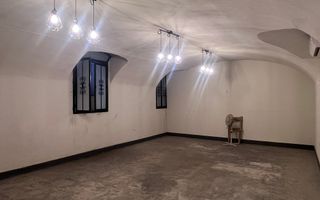 Spațiu Comercial în Imobil Istoric | Locație Ultracentrală | Oradea - Poză 20