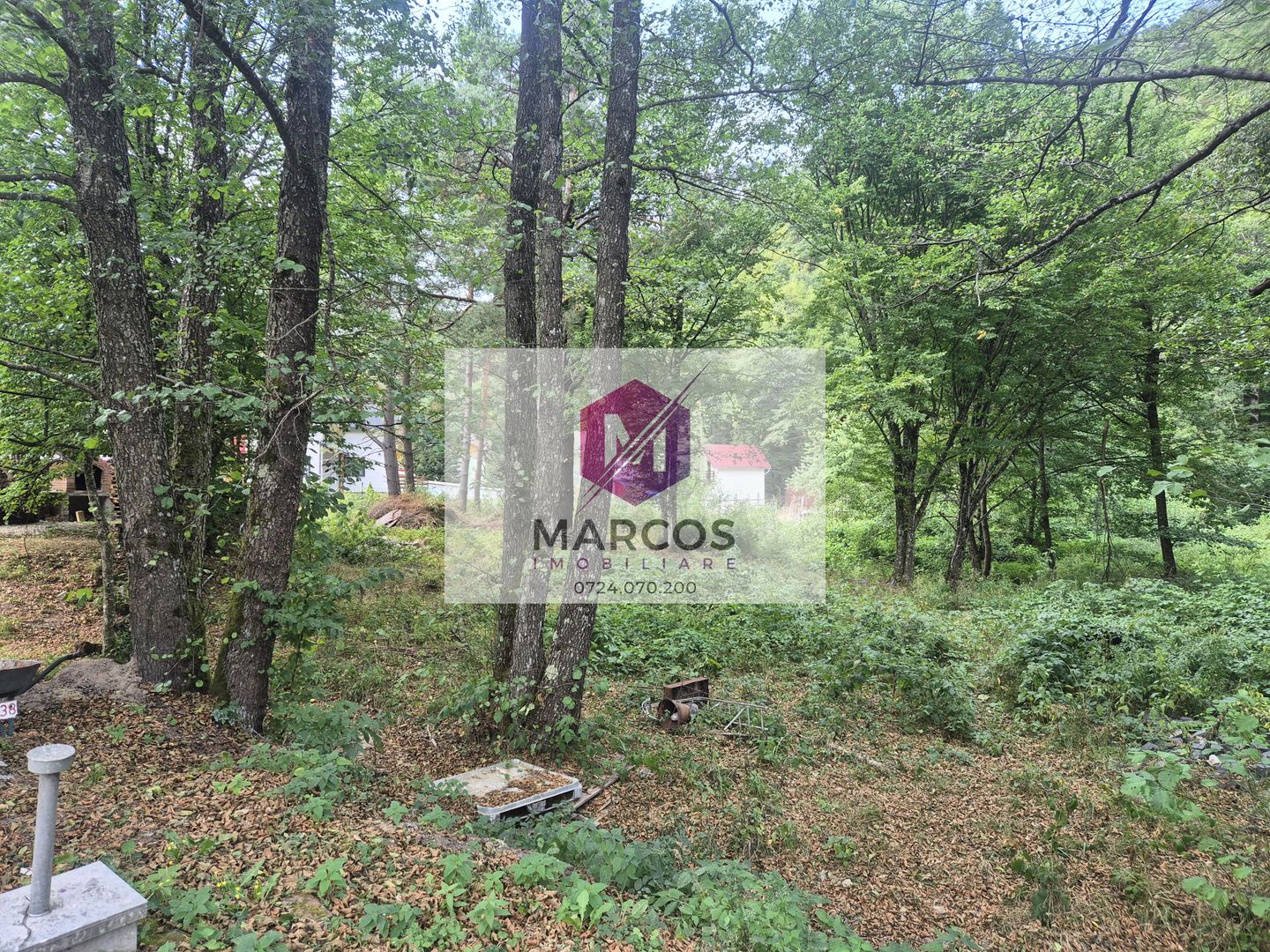 Vand 2 parcele de teren Valiug - Poză 3