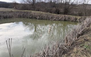 Pescărie cu teren intravilan | Drăgești | Bihor - Poză 5