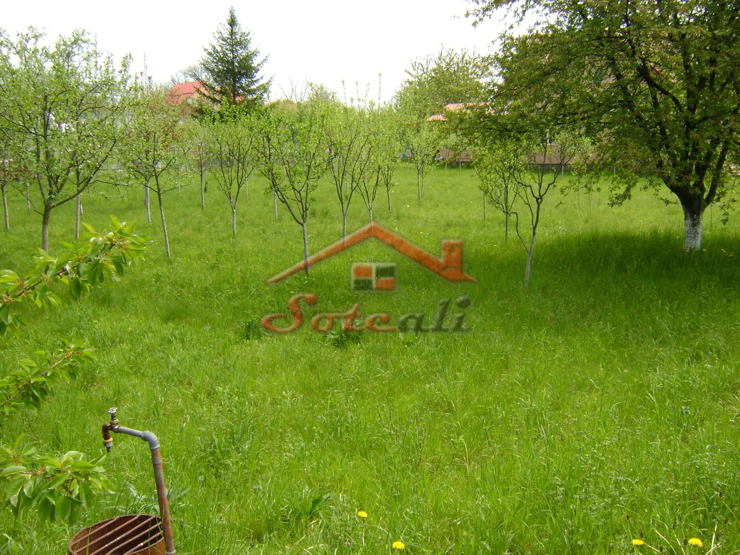 Teren de vanzare in Cornu 1183 mp - Poză 6