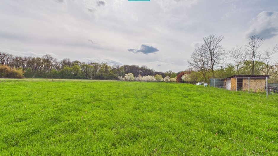 Teren intravilan, 820 mp, Pădure Giroc - Poză 3