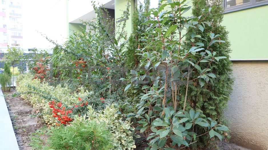 3 CAMERE LA PARTER CU CURTE PROPRIE DE 57MP,  2 BAI, POZITIE PE SUD, COMISION 0% - Poză 40