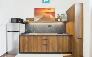 Apartament cozy cu o cameră, zona centrală - Poză 4