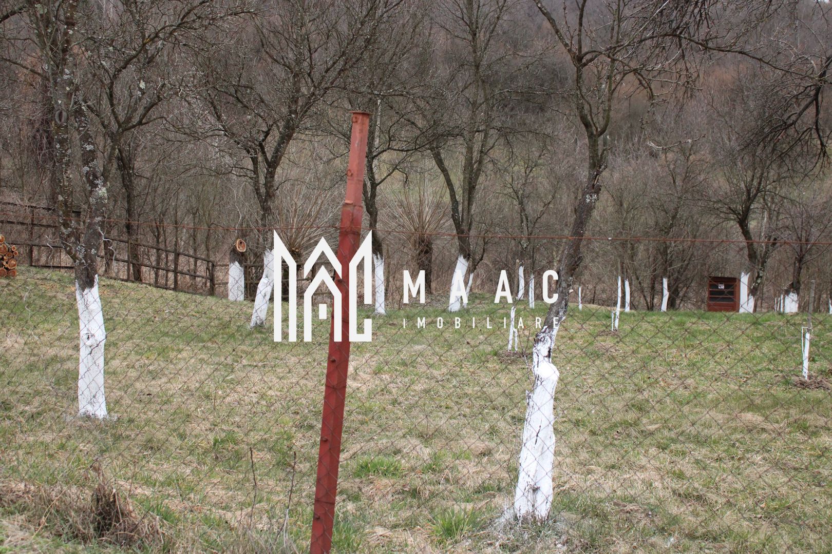 Pământ I Fereastră către Eternitate în  Transilvania - Poză 14