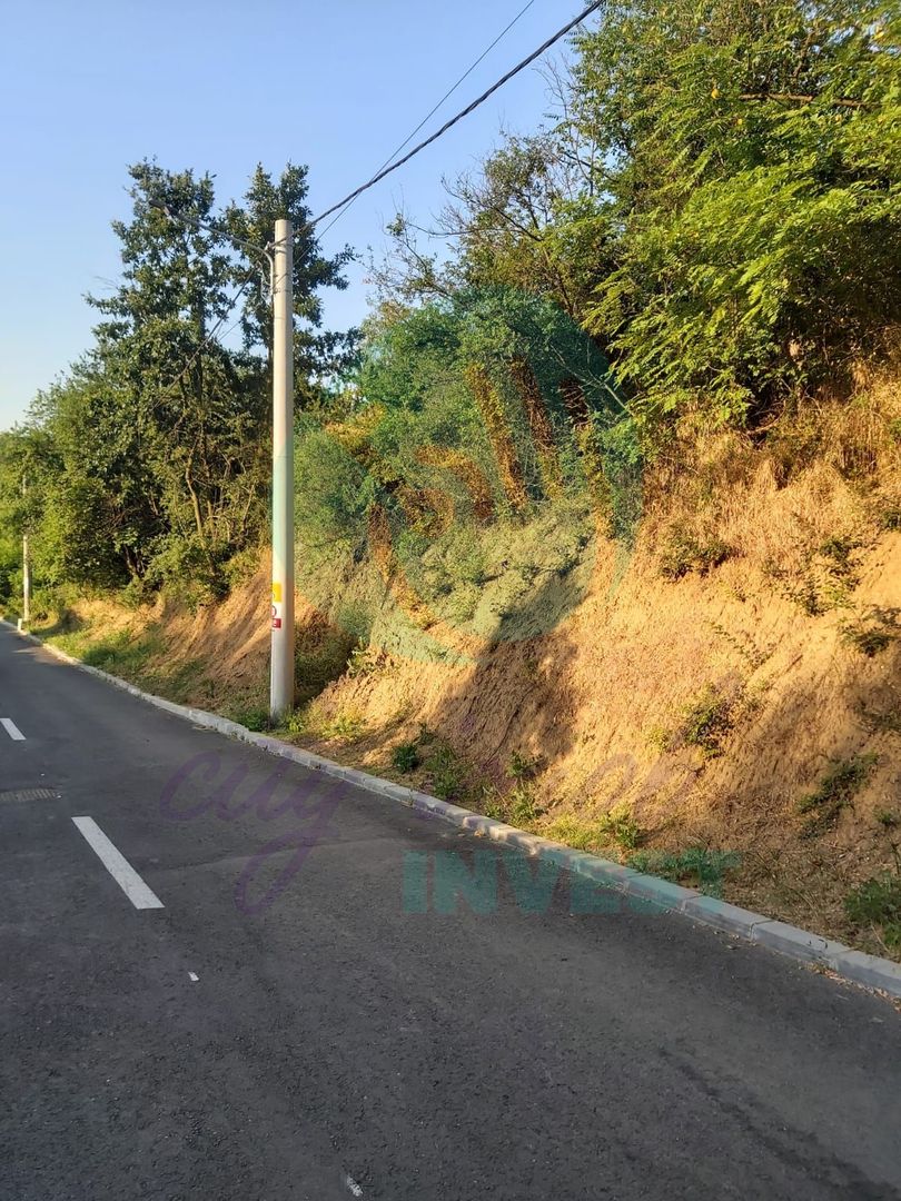 TEREN 1690 MP - ORAS STREHAIA - Poză 6