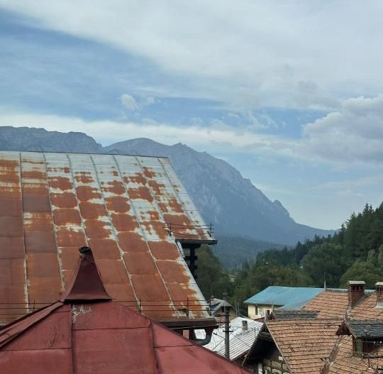 Apartament in vila Sinaia- 13 Septembrie - Poză 5