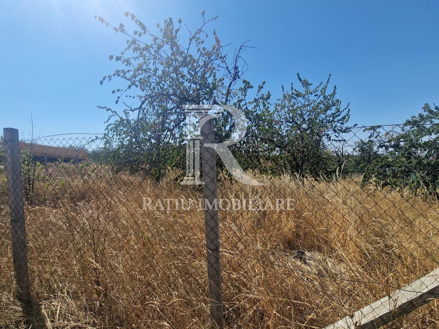 Teren Intravilan | Imprejmuit | 1000 mp | Paleu | Bihor - Poză 4