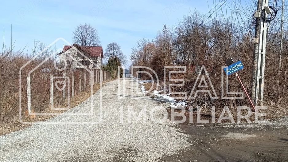 Teren 25.500 mp Valea Avrigului - Poză 2